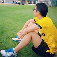 杨冬麒老师头像