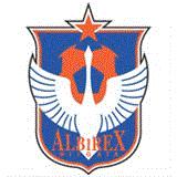 新泻天鹅球队图片