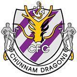 全南天龙球队图片