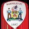 巴恩斯利球队图片