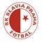 斯拉维亚球队图片