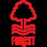 诺丁汉球队图片