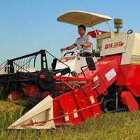 杨晓博老师头像